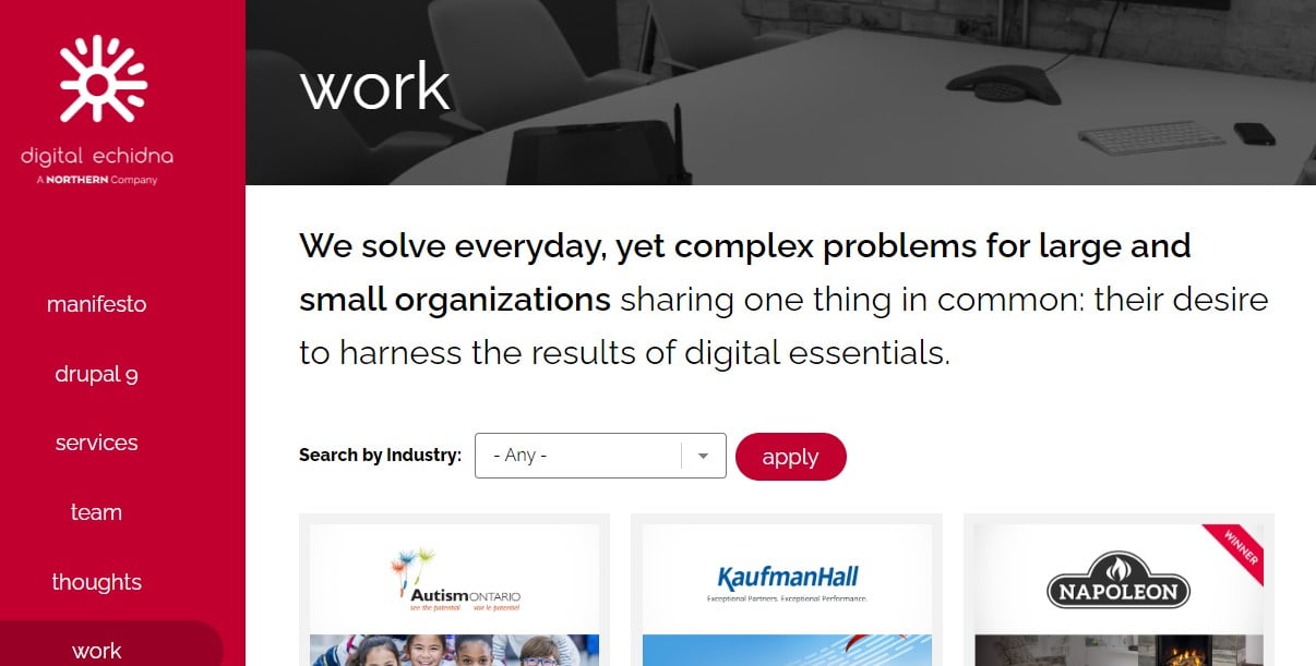 Digital Echidna, entreprise développement web