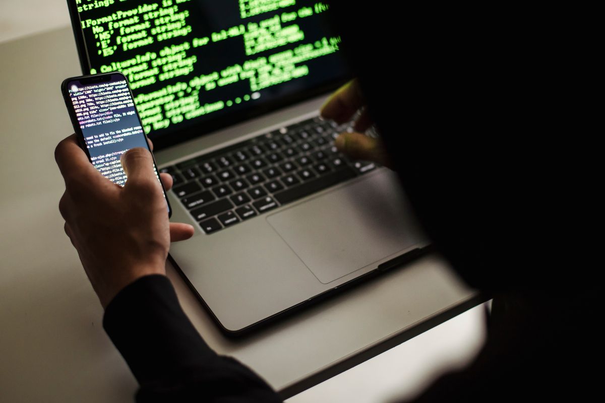 le développement web