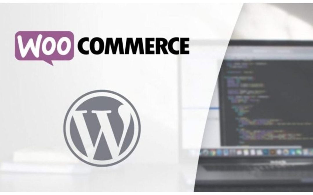 Plugins WooCommerce SEO : les 6 meilleurs sur WordPress 2023