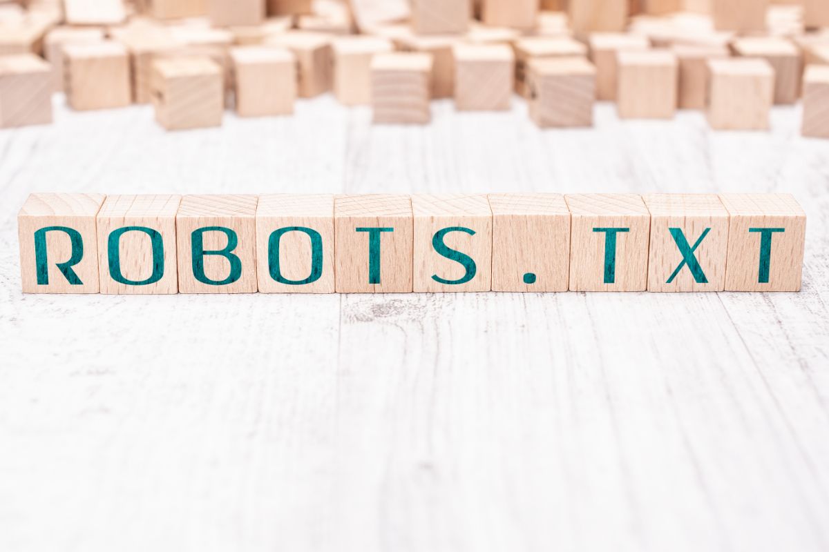 robots.txt du site